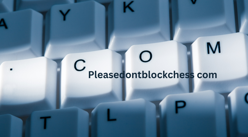 pleasedontblockchess com