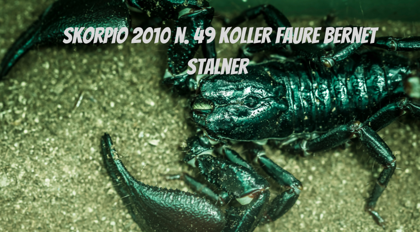 skorpio 2010 n. 49 koller faure bernet stalner 